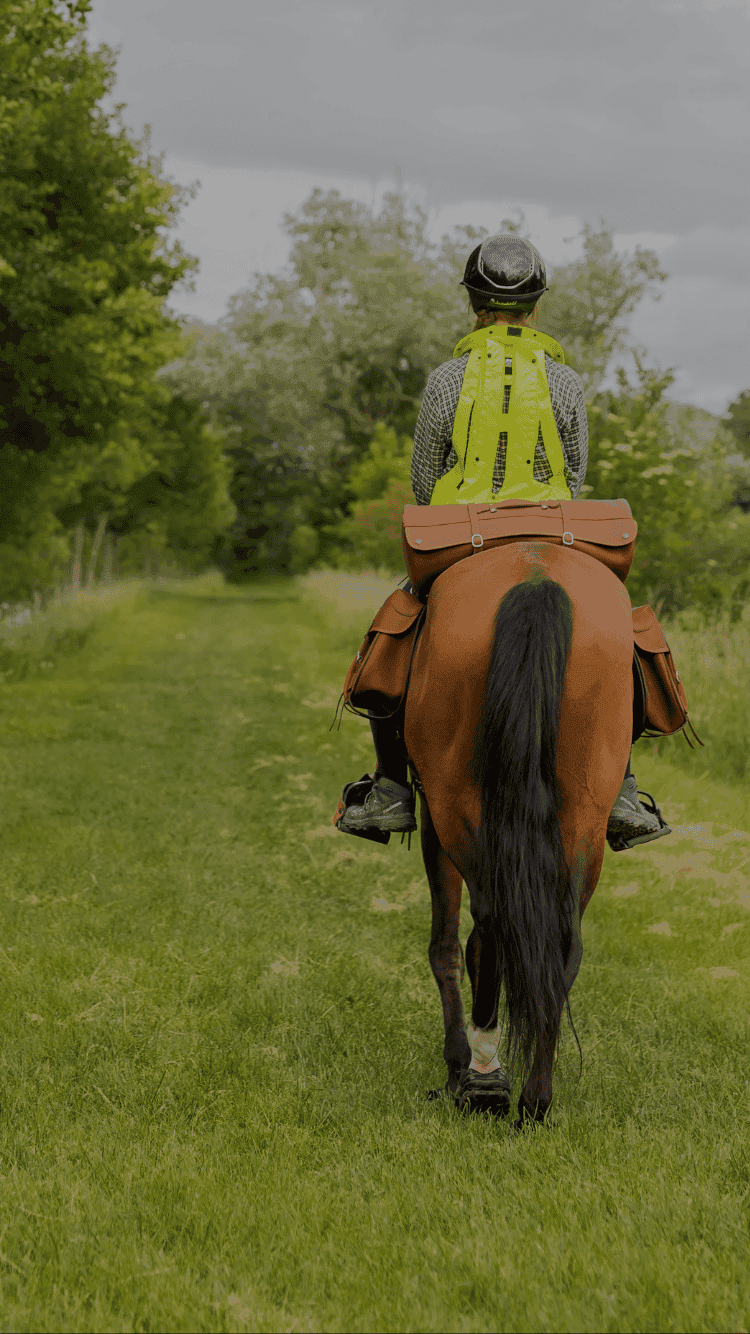 Askara - equipement equestre