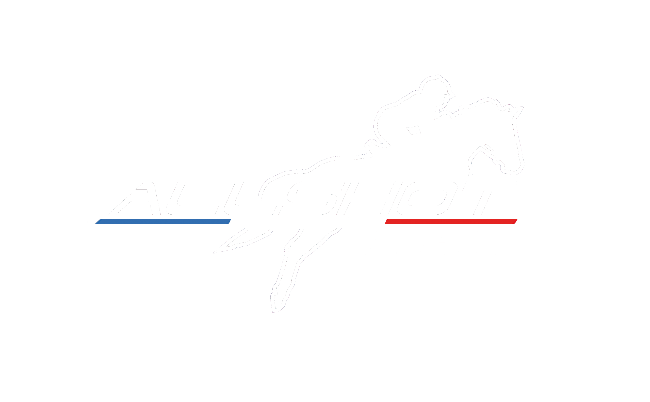 logo-allshot-airbag-equitazione-askara-gilet-protezione-pilota-equitazione