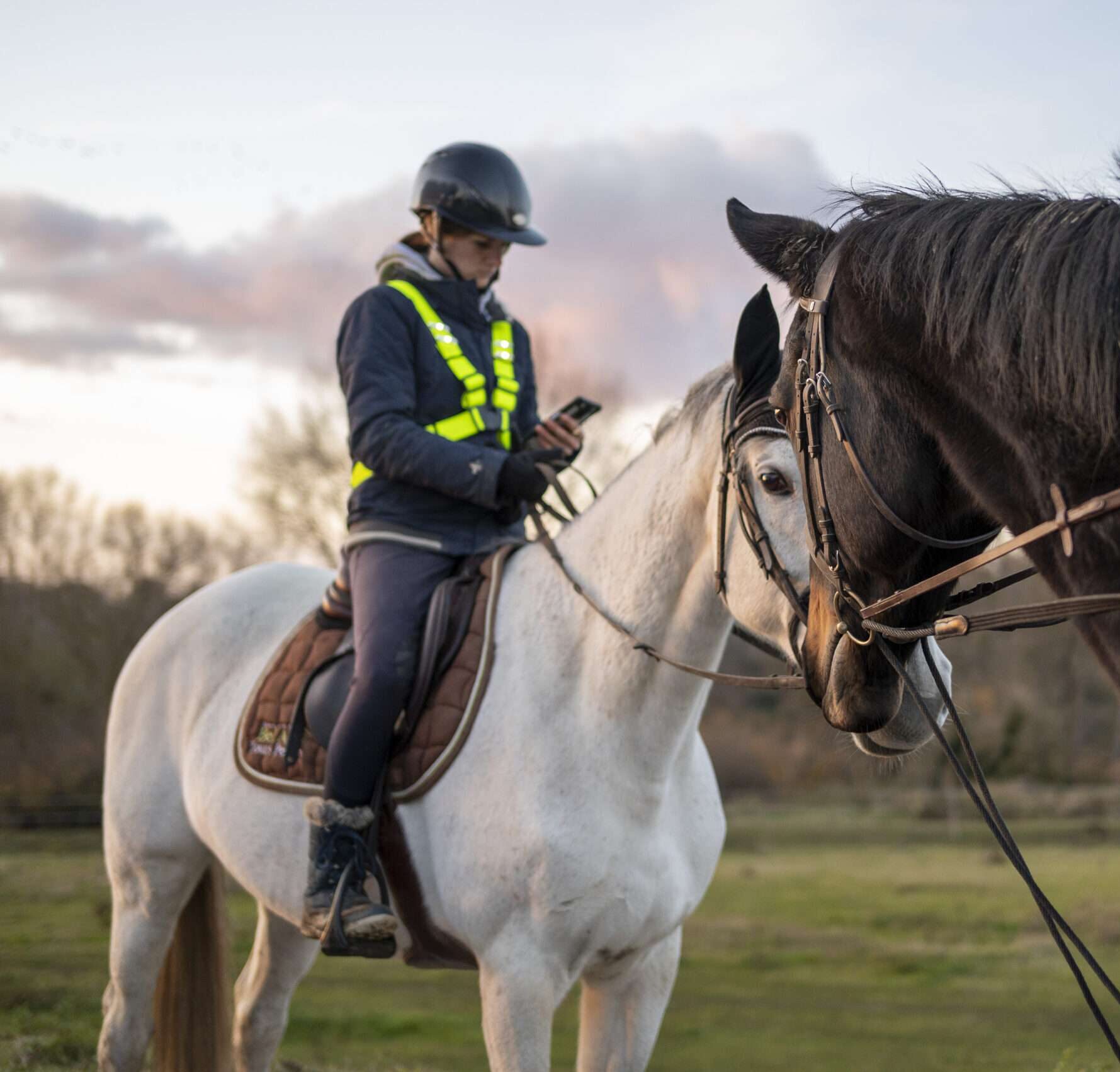 weelight gilet de visibilité pour l'équitation proposé par Askara 100% fabriqué en France